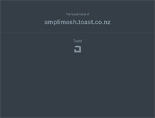 Tablet Screenshot of amplimesh.toast.co.nz